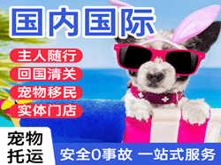 中卫沙坡头航空邮寄国际宠物托运 【国